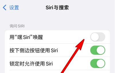 五常苹果13维修分享iPhone 13怎么唤醒 Siri  