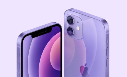 五常苹果手机维修分享紫色版iPhone 12有什么技术亮点 