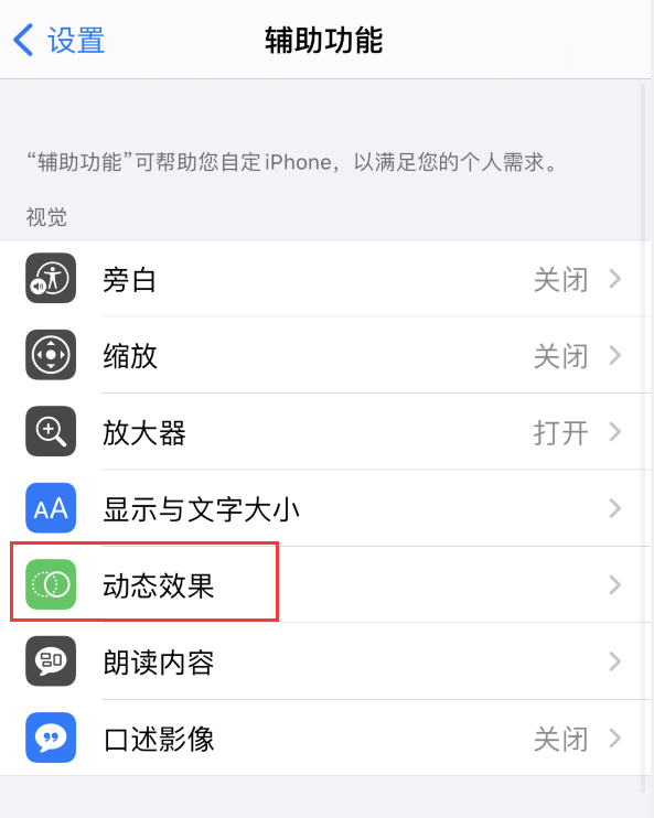 五常苹果手机维修分享iPhone 12 退出应用时没有动画显示，如何设置 